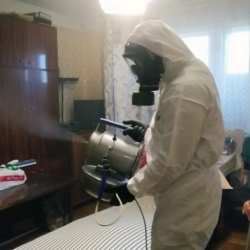 Дезинфекция от клопов в Чулыме