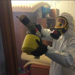 Уничтожение клопов в квартире. Чулым